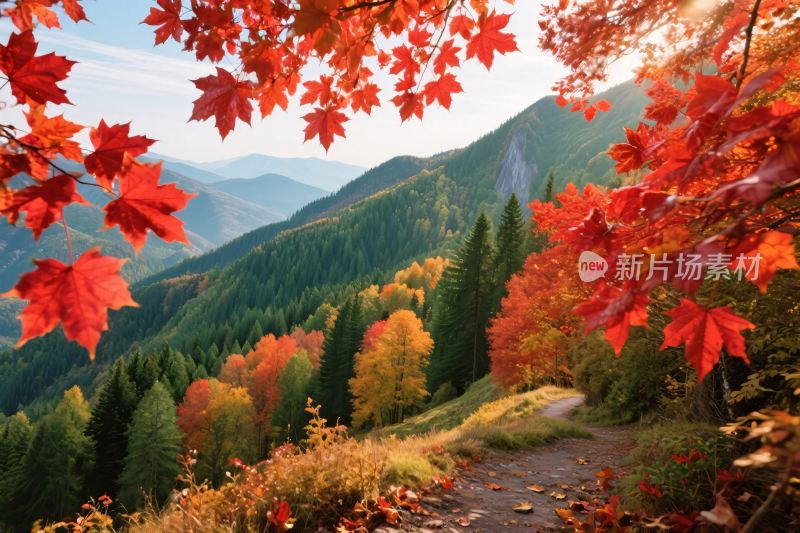 秋日山林美景图