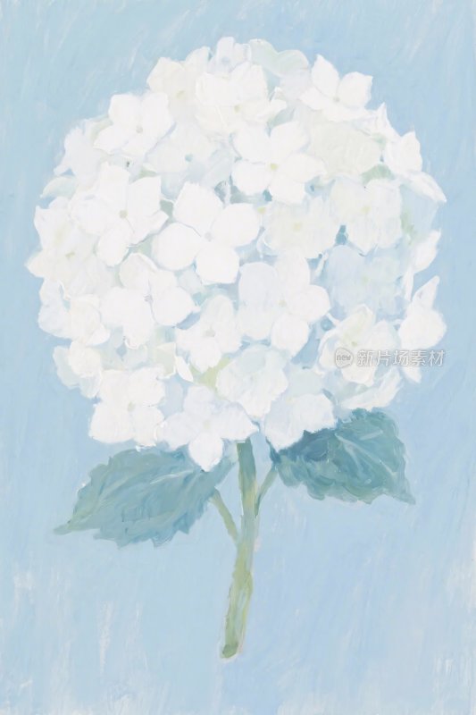 水彩绣球花插画