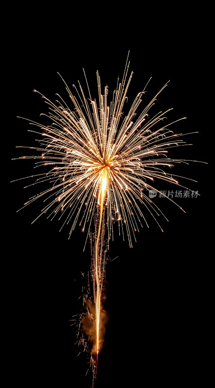 璀璨烟花绽放夜空