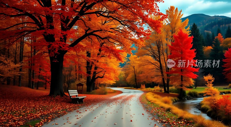 秋日暖阳下的宁静小径