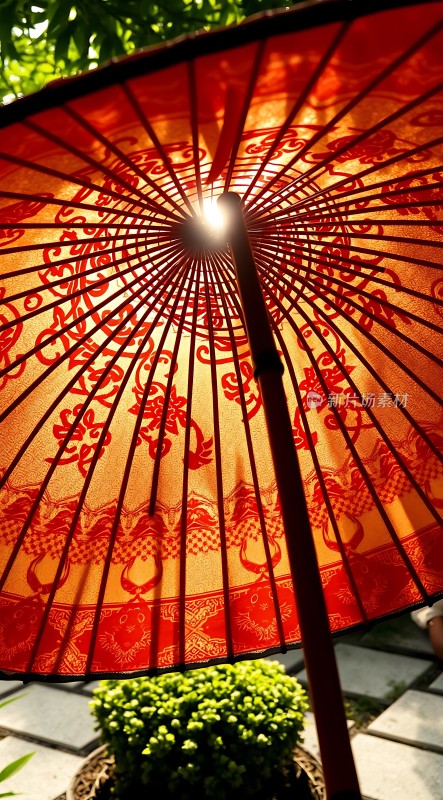 阳光下的红色油纸伞