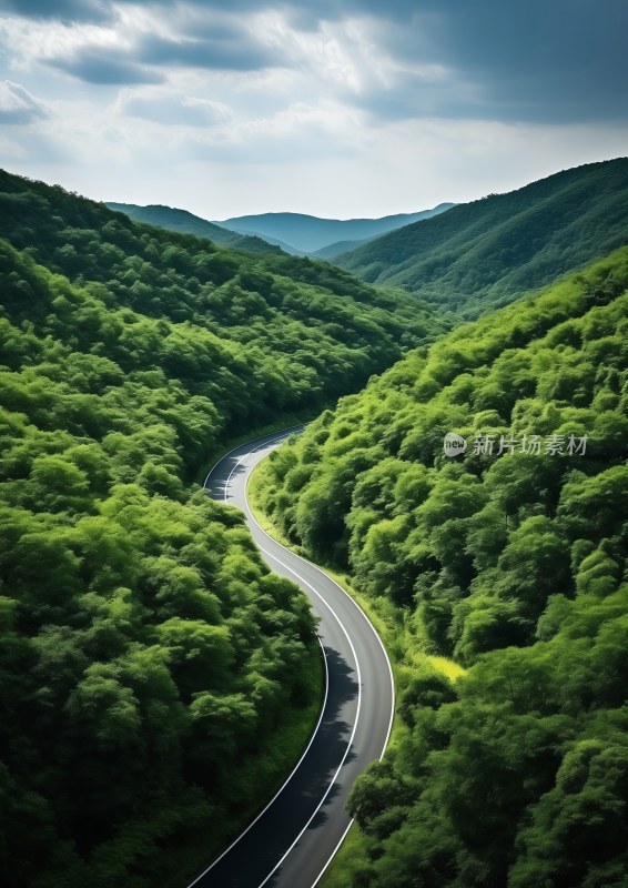 绿色峡谷中的道路