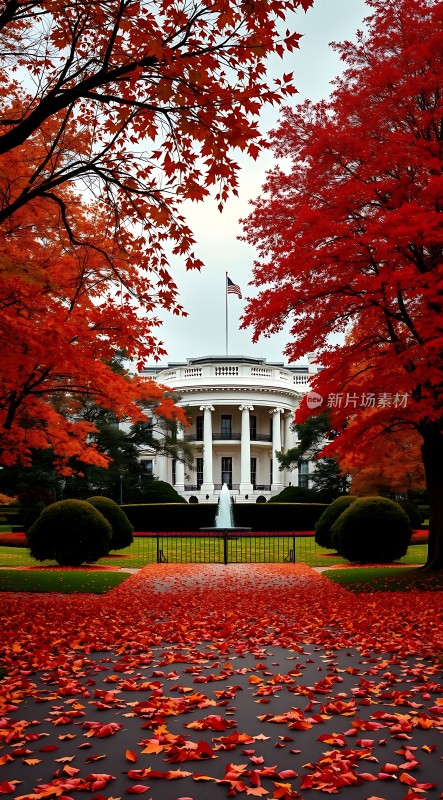 秋日白宫红叶掩映下的庄严与美丽