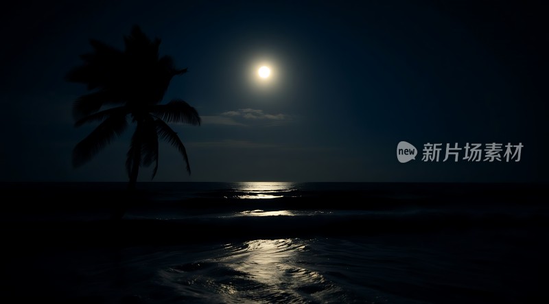 椰林月影映波光