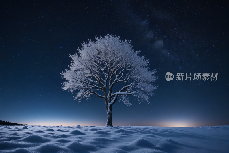 雪地里的树夜空高清背景图片