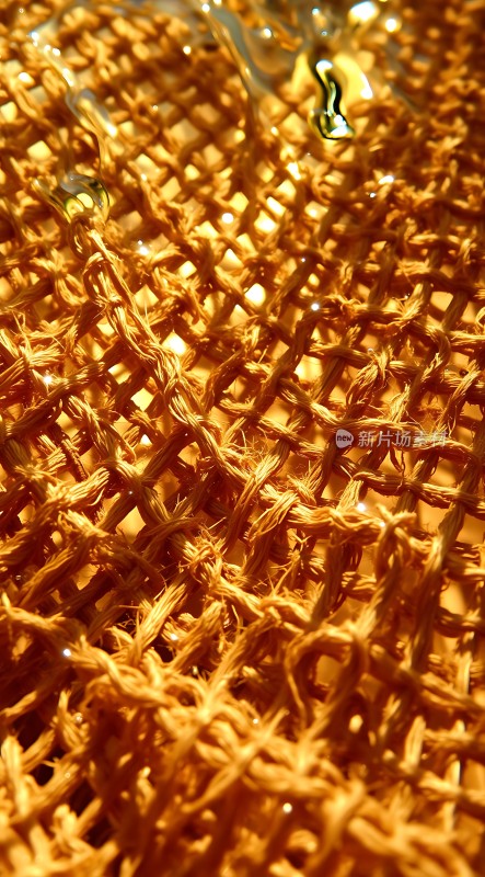 阳光下的金色网格