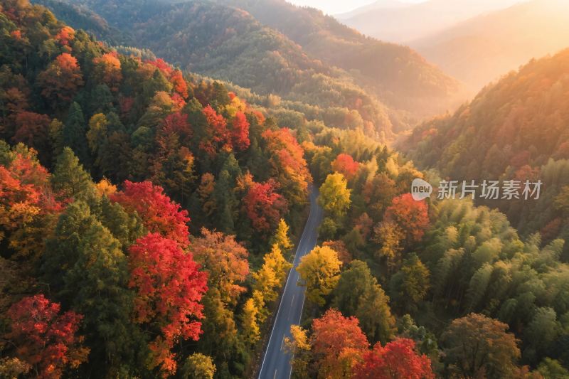 秋日山间公路航拍美景