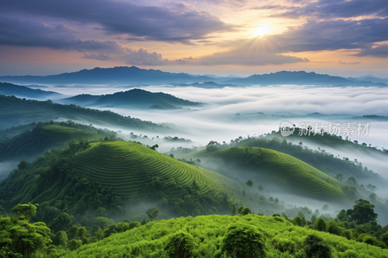 山上长满绿草和树木日落高清风景图片