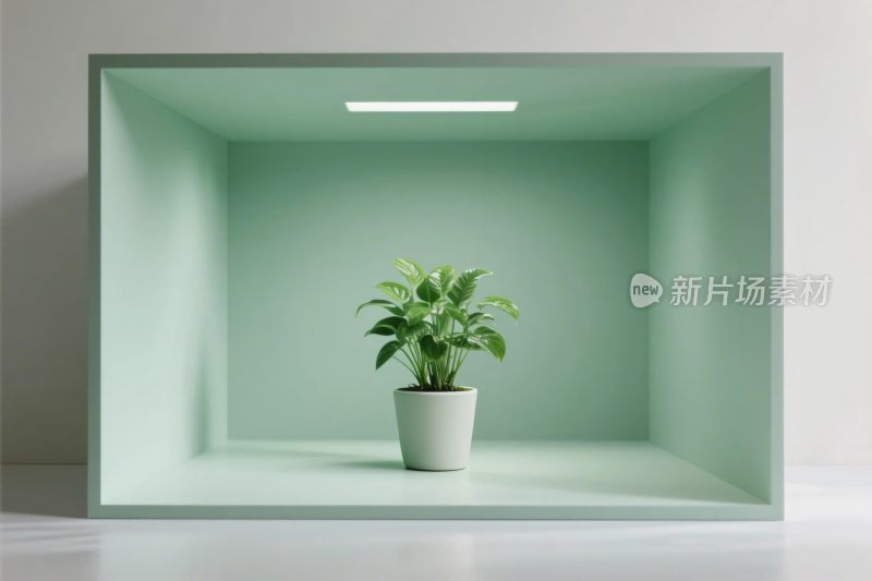 简约空间绿植布置