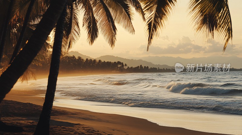 海边夕阳椰树