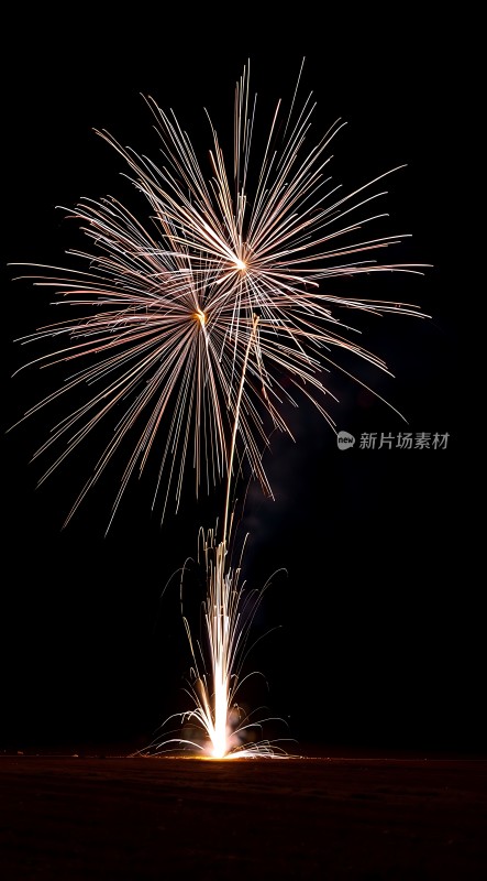 夜空烟花绽放璀璨夺目