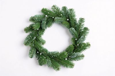 圣诞绿环装饰