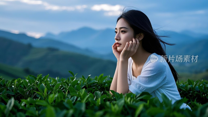 山间茶园里的东方少女恬静时光