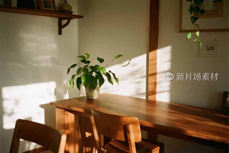 室内木质餐桌绿植场景