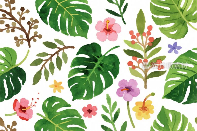 手绘热带植物花卉插画