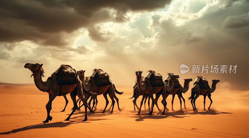 驼队穿越金色沙漠