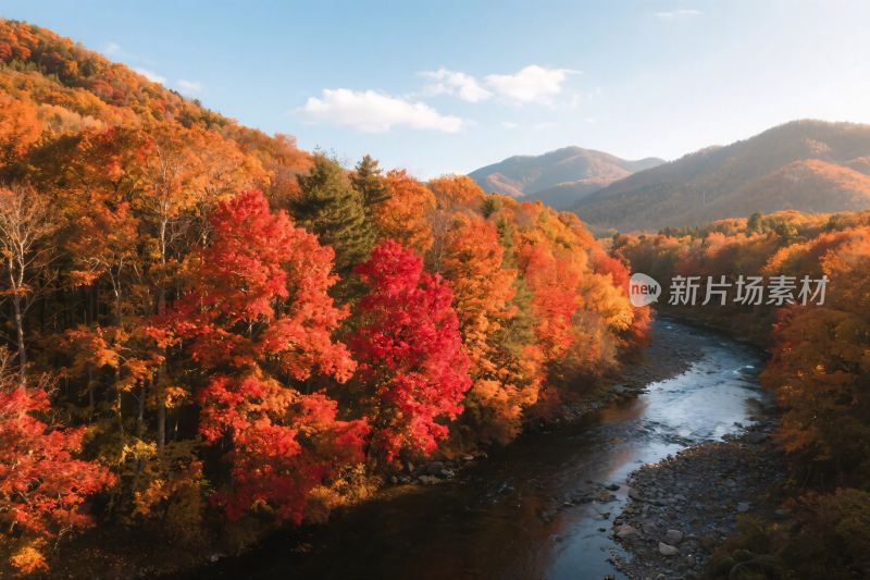 秋日山林河流美景