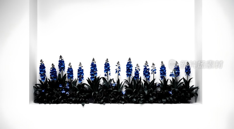 蓝色花朵与绿叶相映成趣