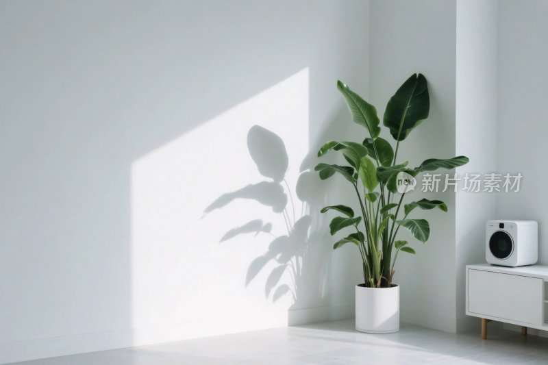 极简室内绿植空间