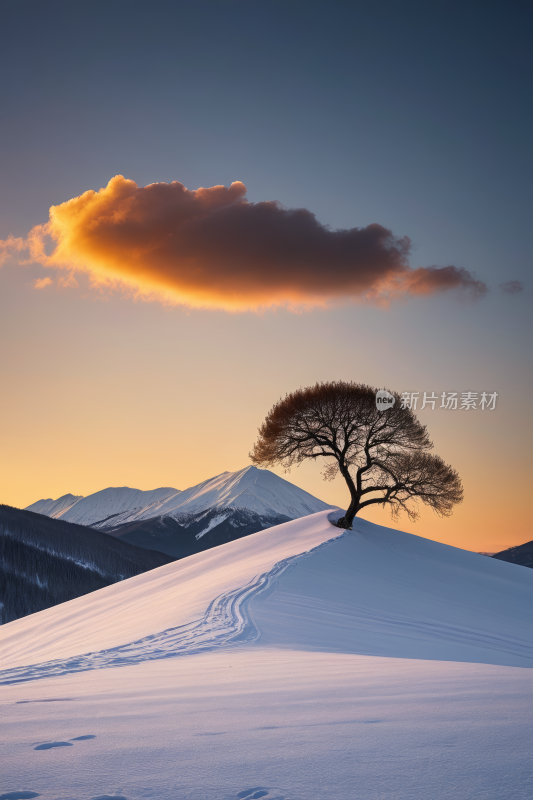 雪景树木孤独山峦叠嶂高清风景图片