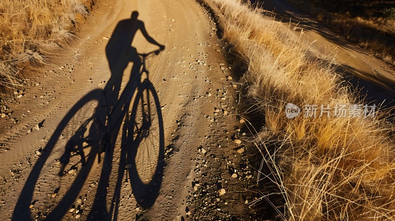 骑行者的光影之旅