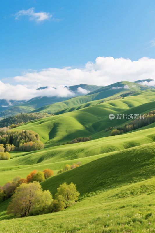青山绿水风景图