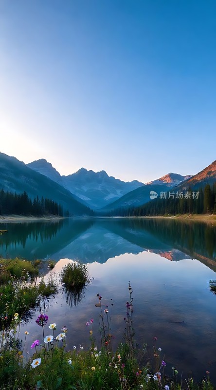 湖光山色映日辉花影摇曳入眼帘