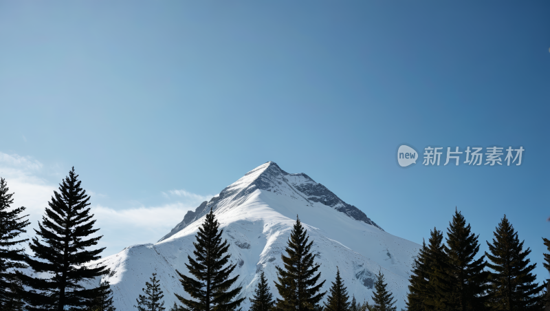 一座雪山前面有几棵树高清图片