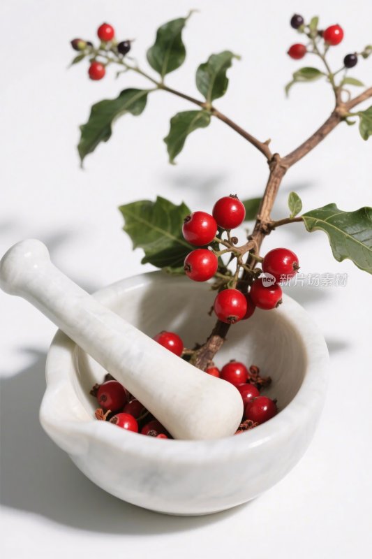 中药研钵与浆果树枝