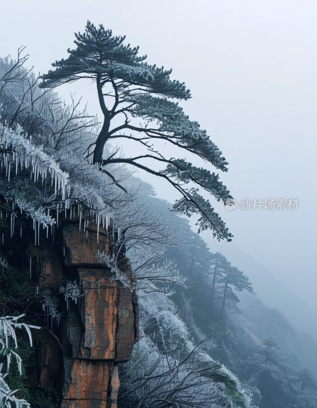 衡山雪挂美如画