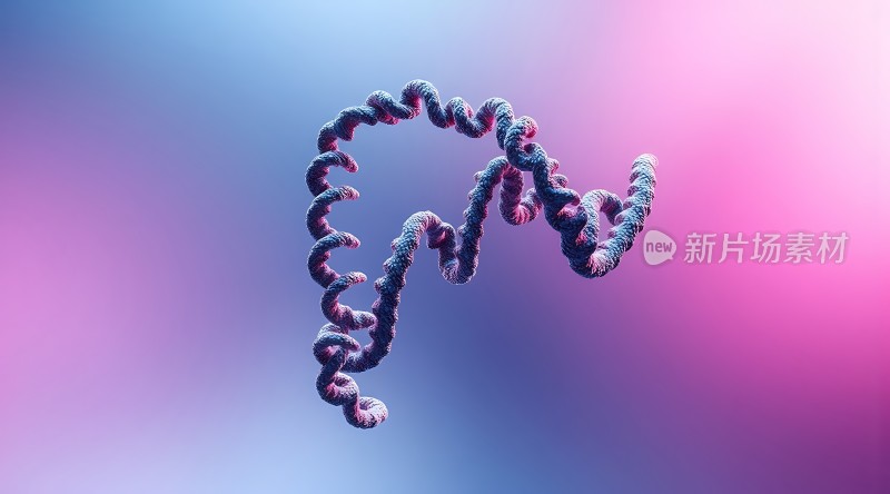 新片场素材螺旋结构