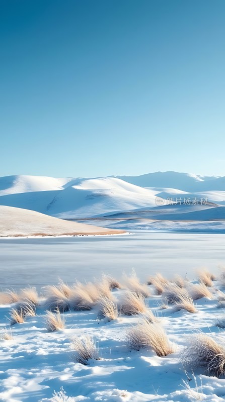 雪原上的宁静之美