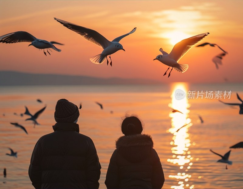 洱海夕阳下海鸥人影