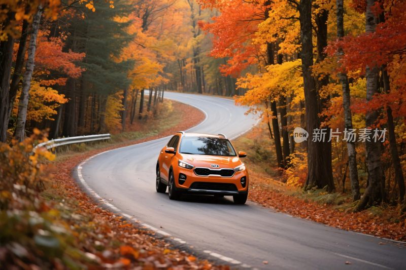 秋日公路上的橙色汽车行驶图