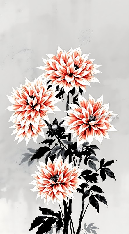 红白相间花朵绽放绿叶衬托生机盎然