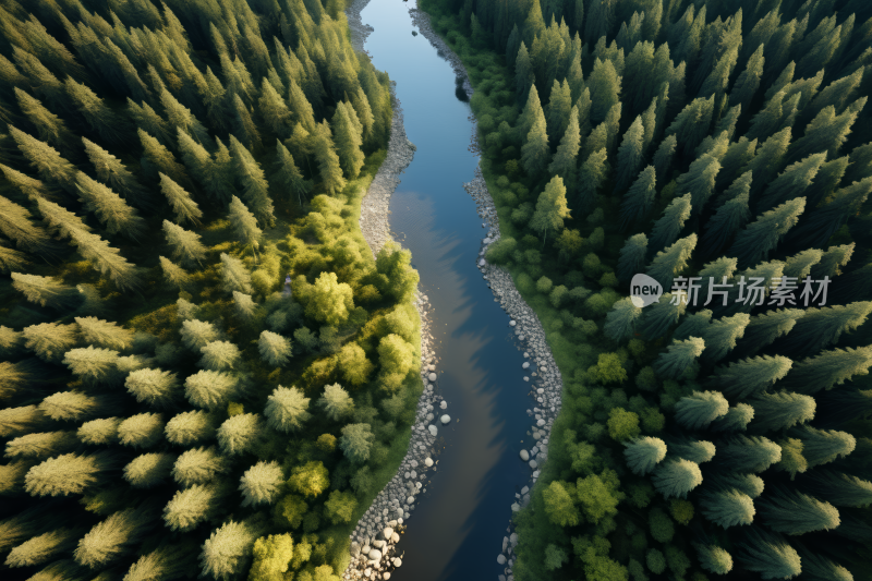 一条河流流经森林的地图森林风光风景图片