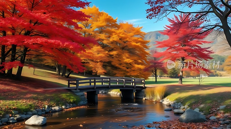 秋日红枫映小桥流水