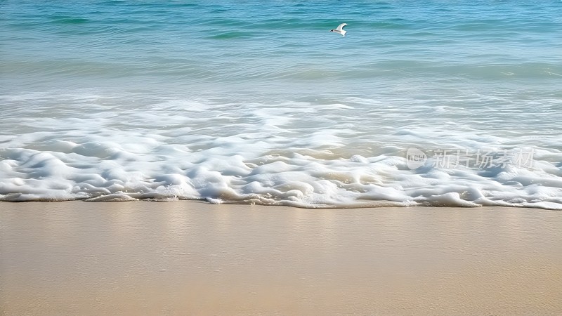 海浪轻拍沙滩白鸥翱翔天际