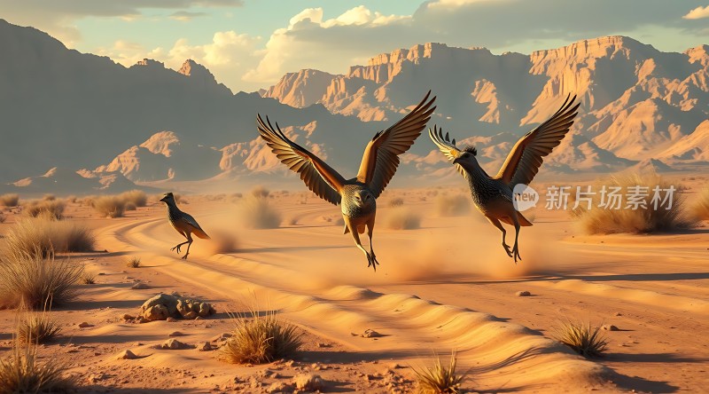 沙漠飞鸟穿越金色沙丘的壮丽之旅