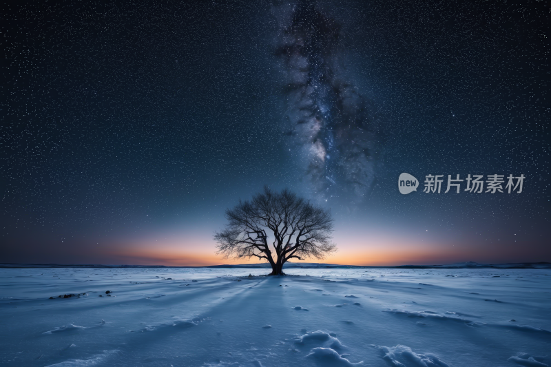 雪地里的树天空充满星星高清风景图片