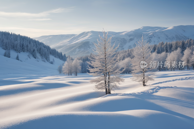 有树木和山脉的雪景高清风景图片