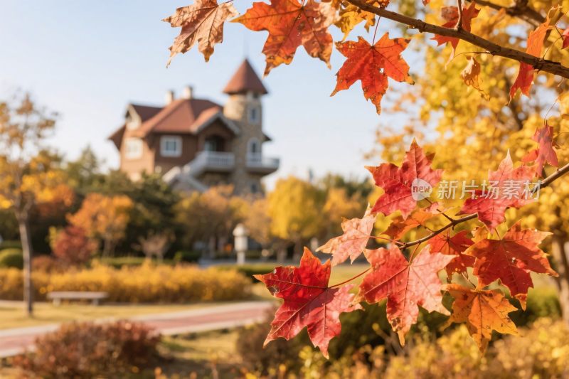 秋季红叶城堡风景