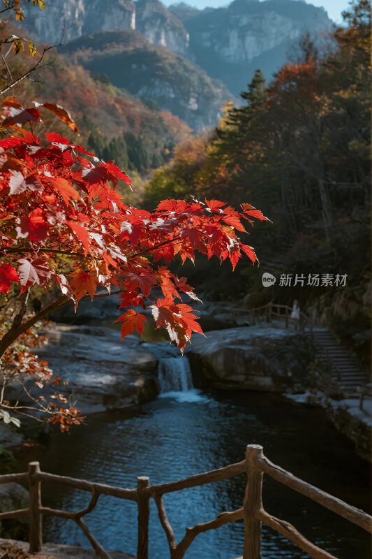 山间溪边红叶美景