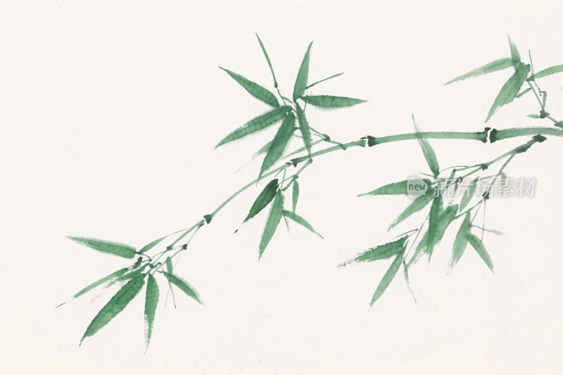 水墨竹子插画