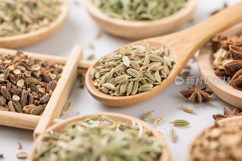 各种香料草本植物展示