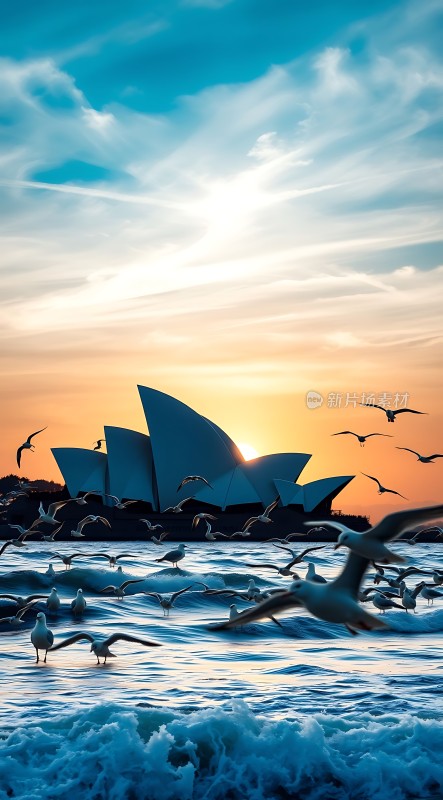 海鸥翱翔悉尼歌剧院日落