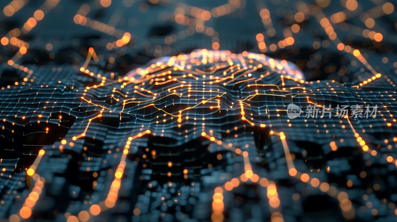 数字世界中的光明之路