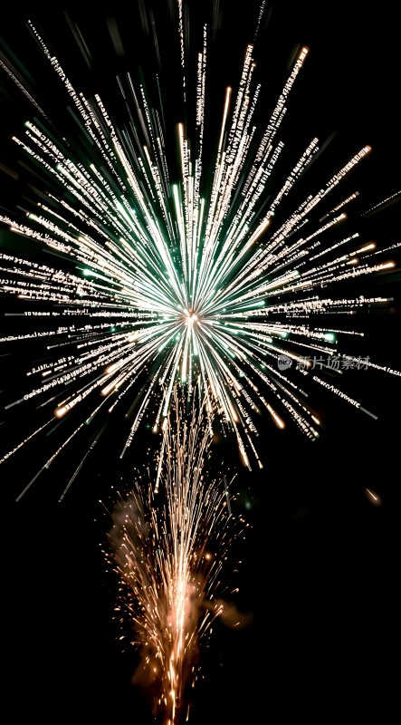 璀璨烟花绽放夜空色彩斑斓光芒四射