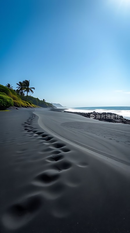 黑沙滩上的脚印与椰子树