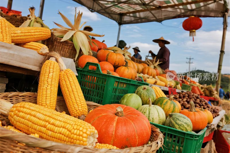 户外果蔬集市摊位